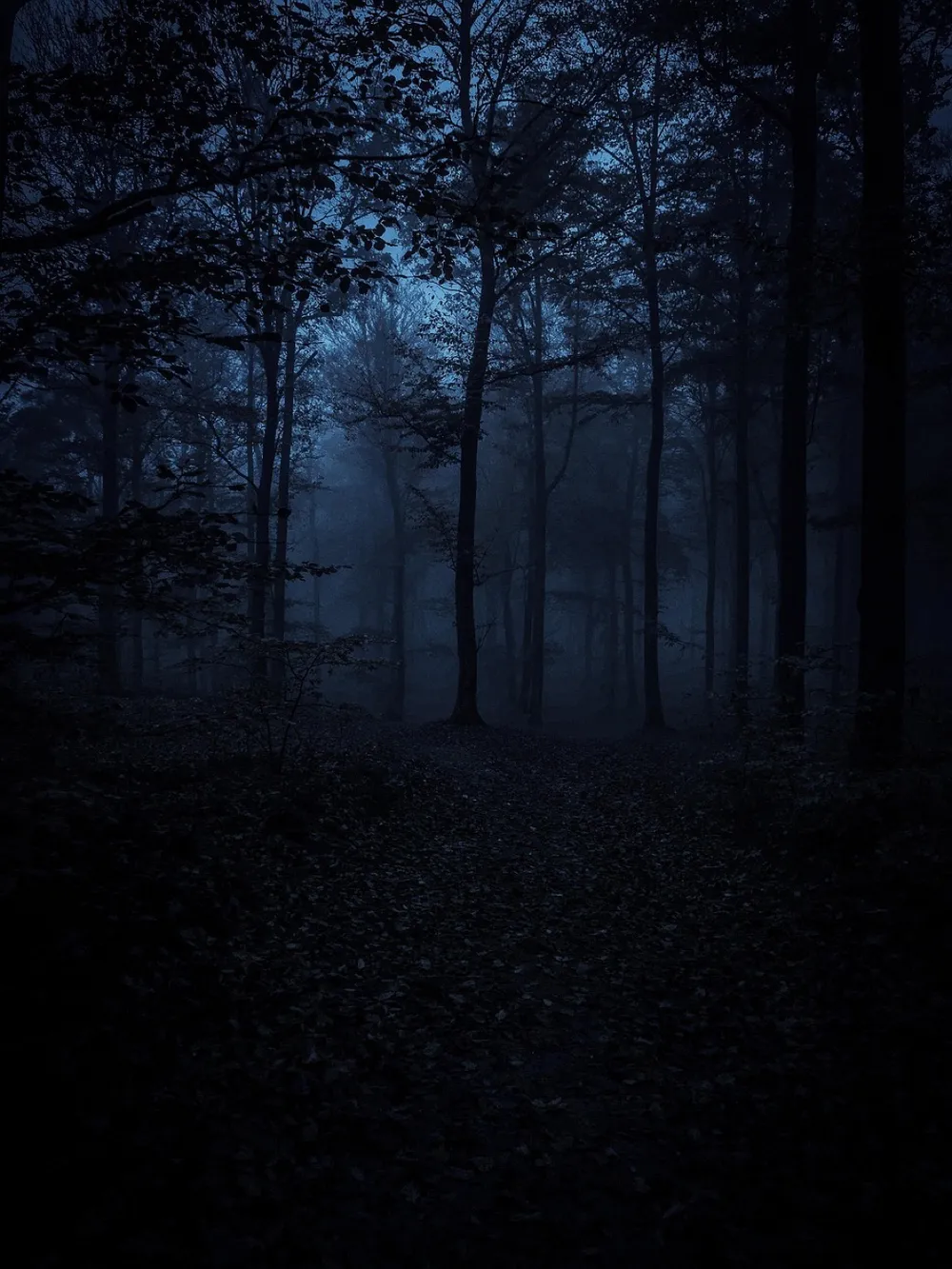 Nighttime Serenity: Calm session cover